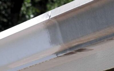 The #1 Gutter Cleaning Company in Savannah, GA with LowCountry Gutter Cleaning Pros