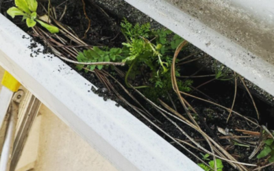 The Cost of Neglecting Gutter Maintenance