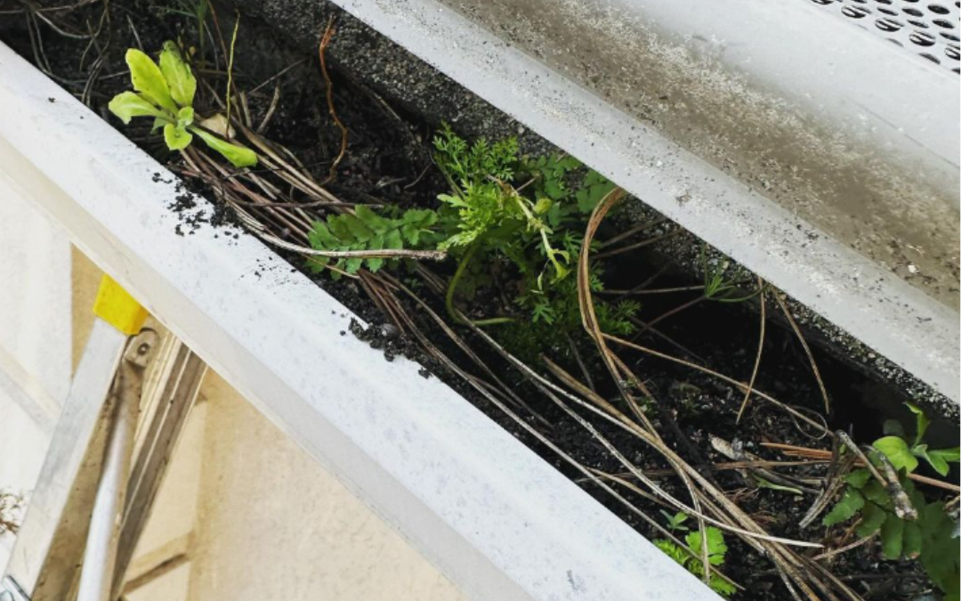 Best Gutter Cleaning in Bluffton, SC