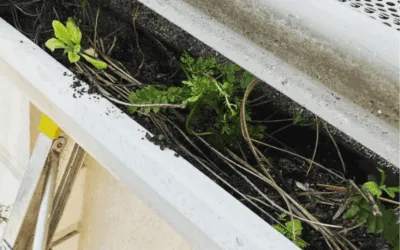 Best Gutter Cleaning in Bluffton, SC