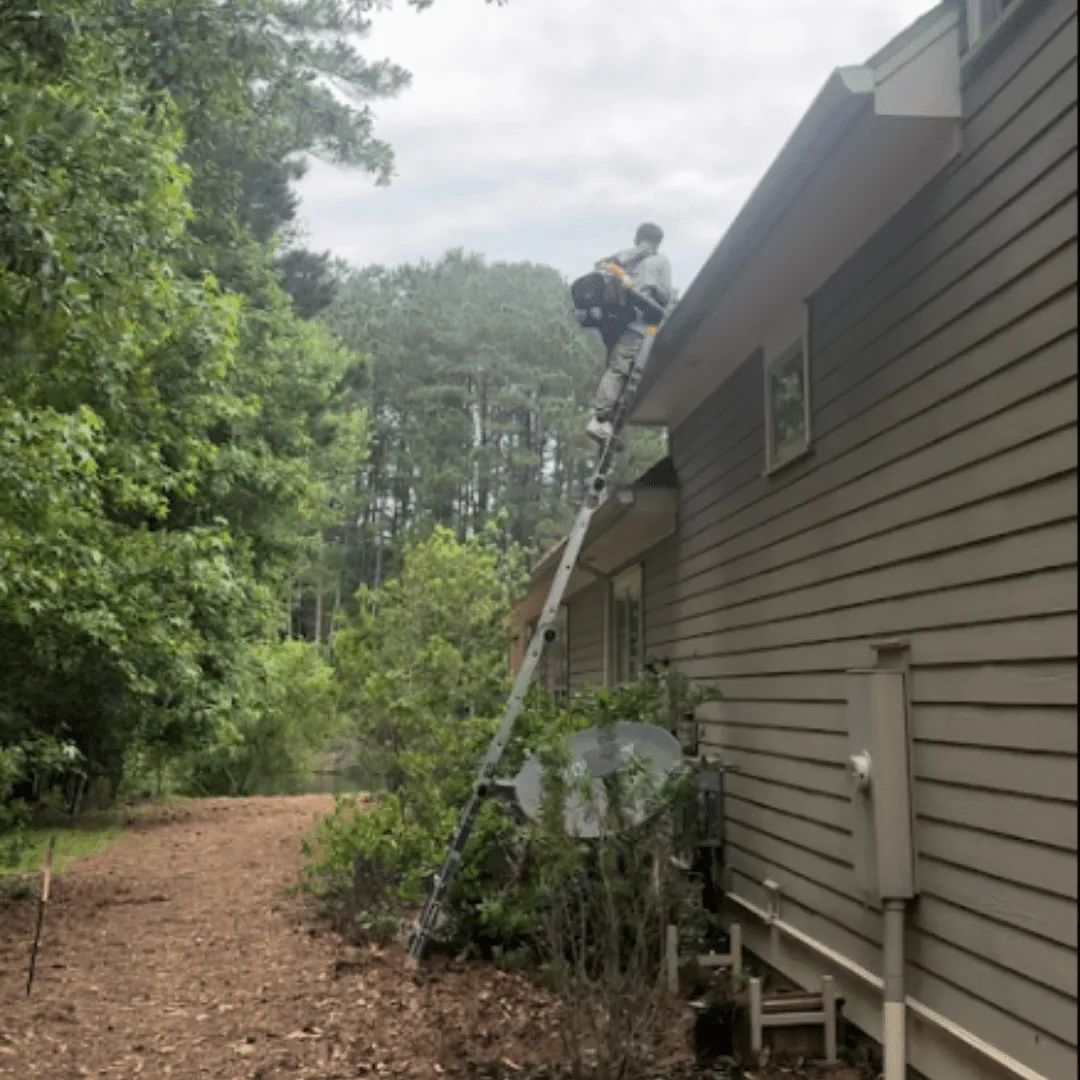 Gutter Cleaning