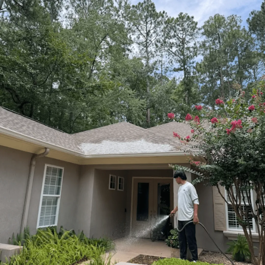 Roof Cleaning (1)