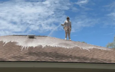How Does Summer Sunlight Impact Algae Growth on Roofs?