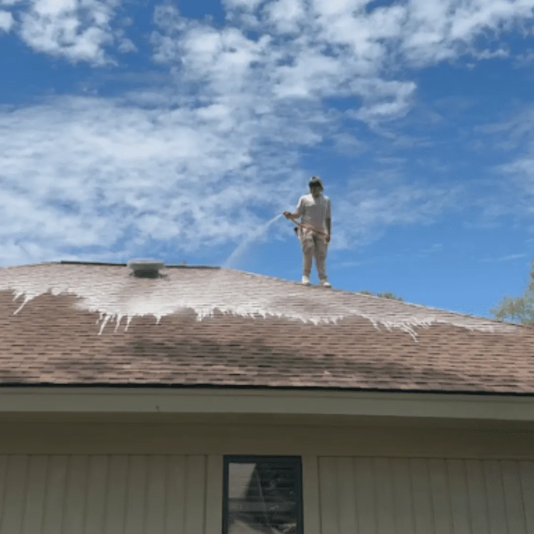 Roof Cleaning
