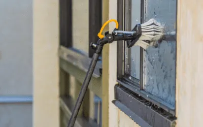 Why Are My Windows Dirtier in Summer?