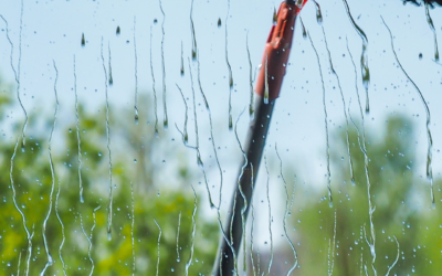 Why Regular Window Cleaning Is Essential for Commercial Buildings