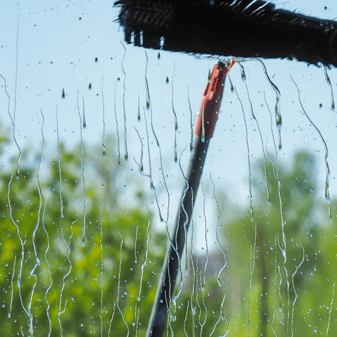 Window Cleaning (2)
