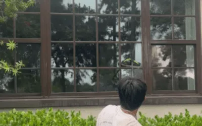 What’s the Safest Way to Clean High Windows?