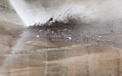 The Benefits of Professional Pressure Washing vs. DIY