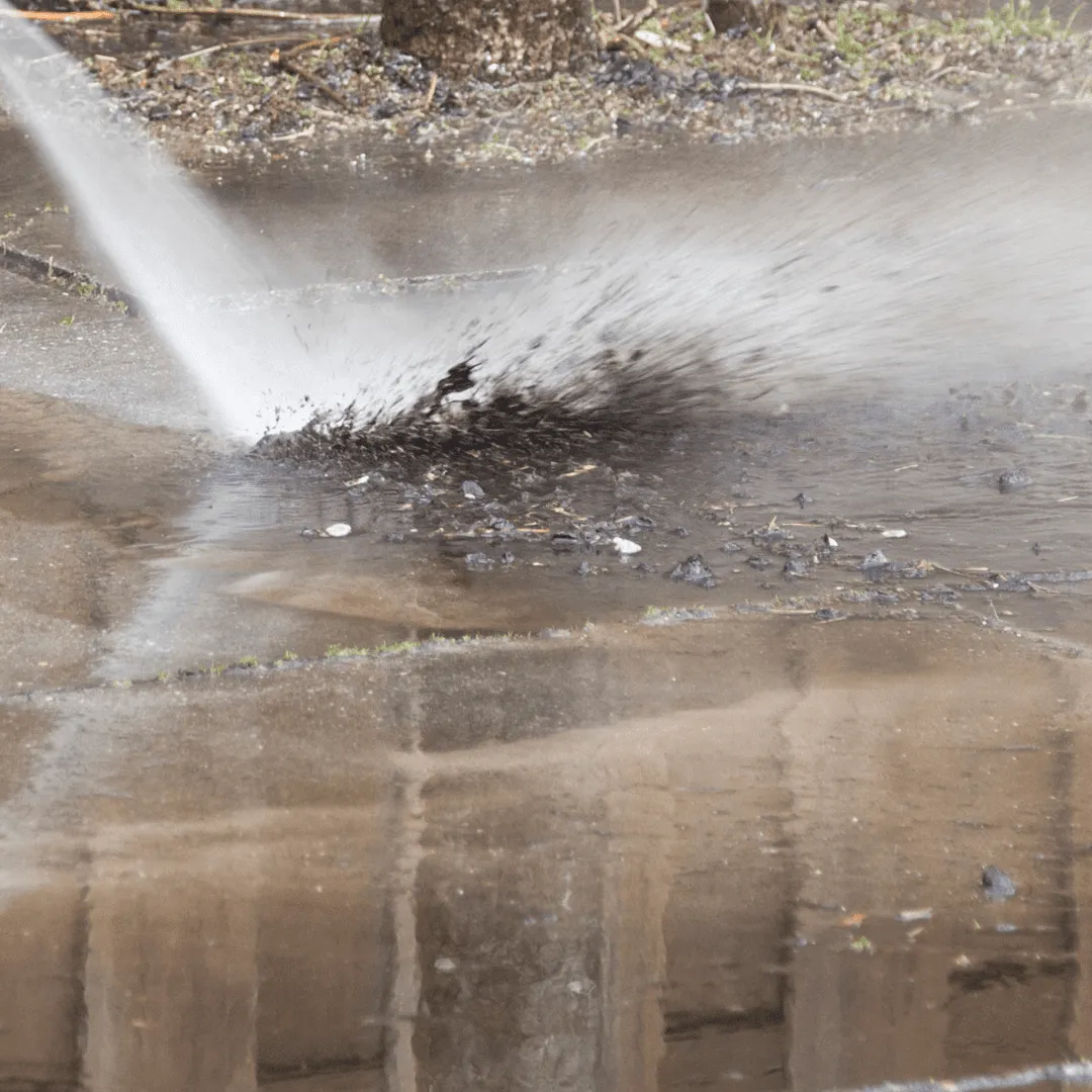 pressure washing (1)