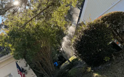 Late Summer Pressure Washing: Why August is Ideal Before Fall Debris Hits