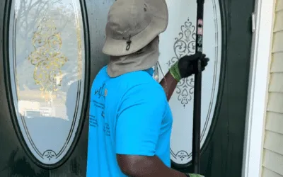 How Often Should You Get Your Windows Professionally Cleaned?