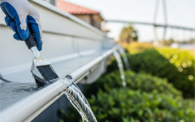 How much does gutter cleaning cost in Mount Pleasant SC?